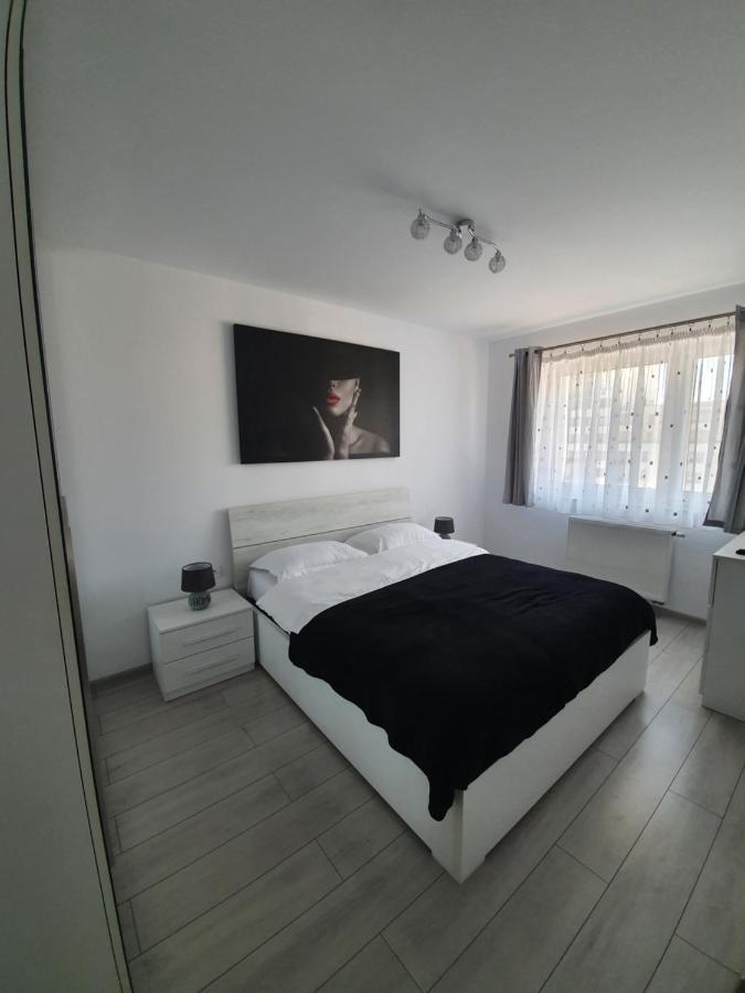 Apartament Coresi Promenada Coresi ブラショフ エクステリア 写真